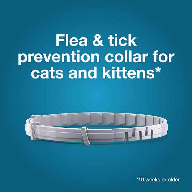 Seresto Flea and Tick Collar for Cats – 8-Month Protection, Non-Greasy & Odorless