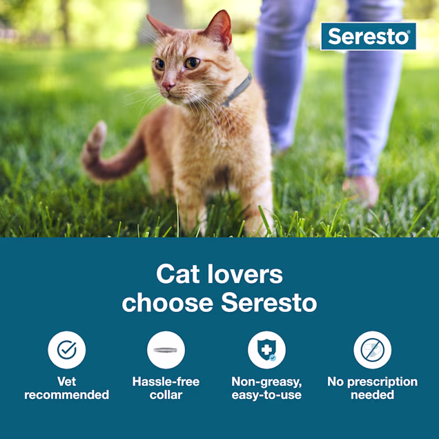 Seresto Flea and Tick Collar for Cats – 8-Month Protection, Non-Greasy & Odorless